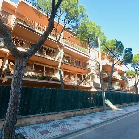 Apartamento 2 Hab, 2 Wc, Wifi, Ac Apartamento *